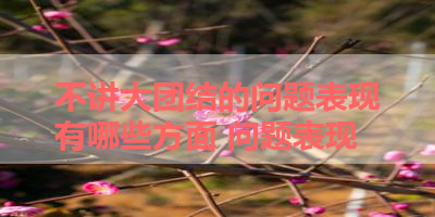 不讲大团结的问题表现有哪些方面 问题表现