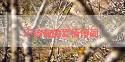 不该有的爱情诗词 