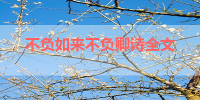 不负如来不负卿诗全文 