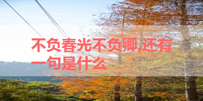 不负春光不负卿,还有一句是什么 