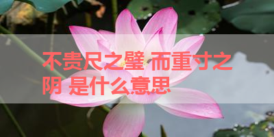 不贵尺之璧 而重寸之阴 是什么意思 