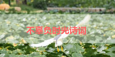 不辜负时光诗词 