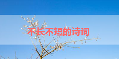 不长不短的诗词 