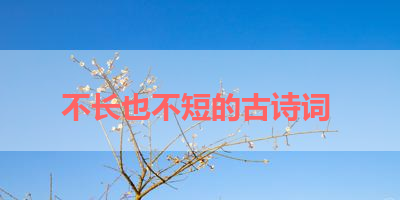 不长也不短的古诗词 