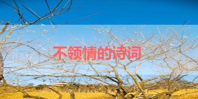 不领情的诗词 