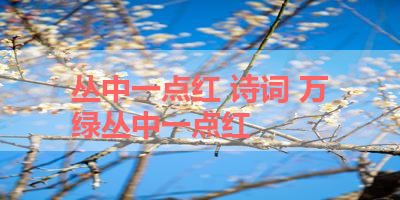 丛中一点红 诗词 万绿丛中一点红
