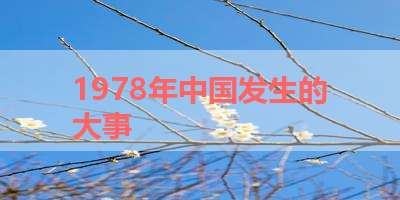 1978年中国发生的大事 