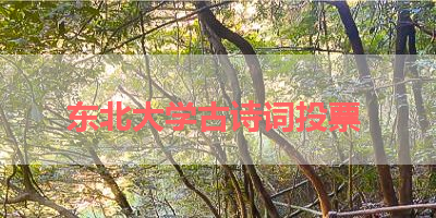 东北大学古诗词投票 