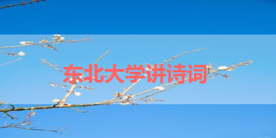 东北大学讲诗词 