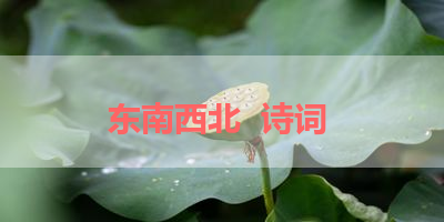 东南西北  诗词 