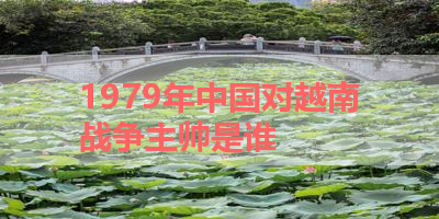 1979年中国对越南战争主帅是谁 