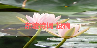 东坡诗词 投稿 