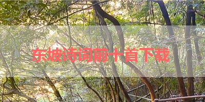 东坡诗词前十首下载 