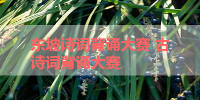 东坡诗词背诵大赛 古诗词背诵大赛