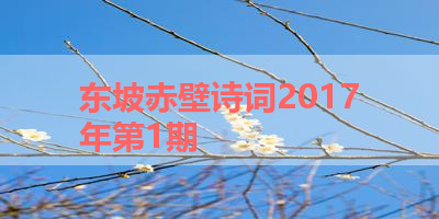 东坡赤壁诗词2017年第1期 