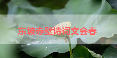 东坡赤壁诗词文会春 