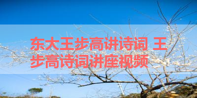 东大王步高讲诗词 王步高诗词讲座视频