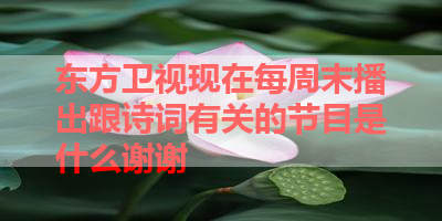 东方卫视现在每周末播出跟诗词有关的节目是什么谢谢 