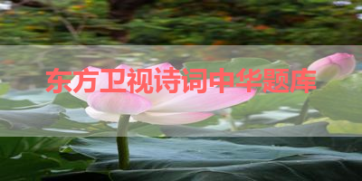 东方卫视诗词中华题库 