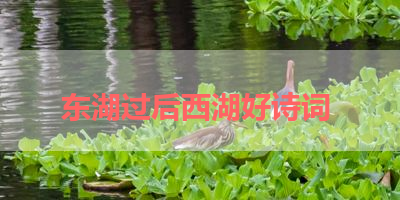 东湖过后西湖好诗词 
