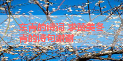 东青的诗词 求赞美冬青的诗句谢谢 