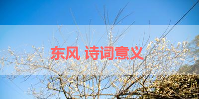 东风 诗词意义 