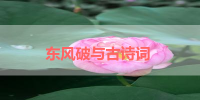 东风破与古诗词 