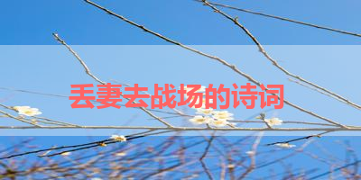 丢妻去战场的诗词 