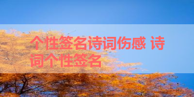 个性签名诗词伤感 诗词个性签名