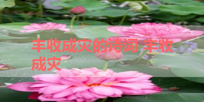 丰收成灾的诗词 丰收成灾