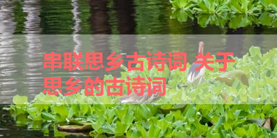 串联思乡古诗词 关于思乡的古诗词