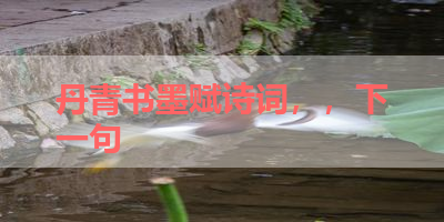 丹青书墨赋诗词，，下一句 