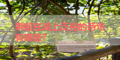 乘船在湖上泛舟的诗句有哪些？ 