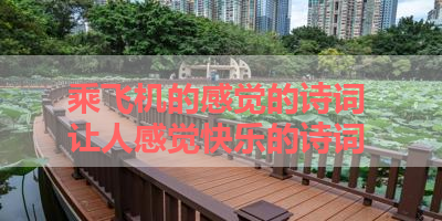 乘飞机的感觉的诗词 让人感觉快乐的诗词