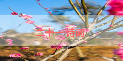 二十一 诗词 