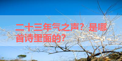 二十三年气之声？是哪首诗里面的？ 