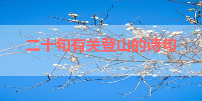 二十句有关登山的诗句 
