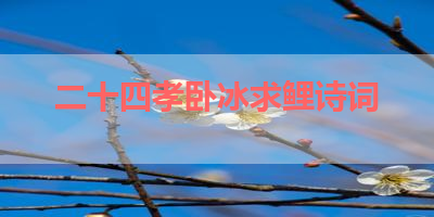 二十四孝卧冰求鲤诗词 