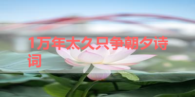 1万年太久只争朝夕诗词 