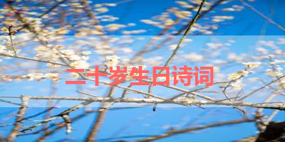 二十岁生日诗词 