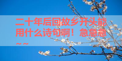 二十年后回故乡开头能用什么诗句啊！急急急~~ 