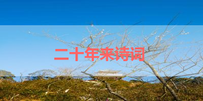 二十年来诗词 