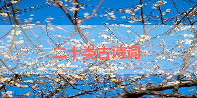 二十类古诗词 