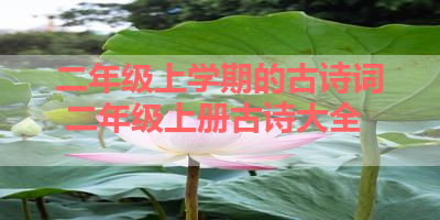 二年级上学期的古诗词 二年级上册古诗大全 