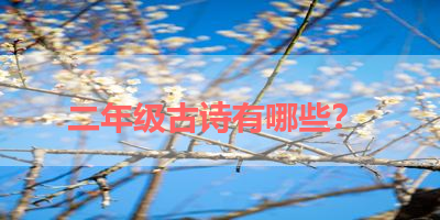 二年级古诗有哪些？ 