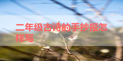 二年级古诗的手抄报怎样写 