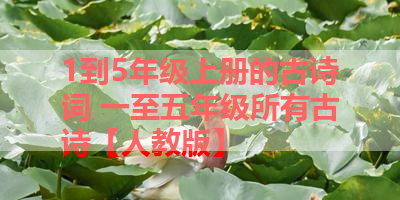 1到5年级上册的古诗词 一至五年级所有古诗【人教版】 