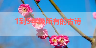 1到5年级所有的古诗 