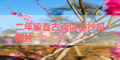二年级春古诗词手抄报图片 