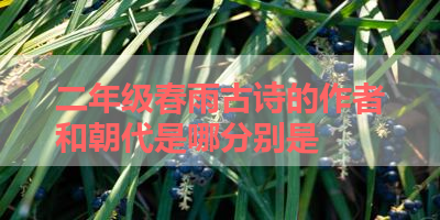 二年级春雨古诗的作者和朝代是哪分别是 